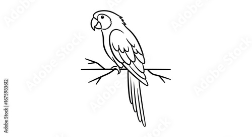 Simple black and white line art drawing of a parrot bird perched on a tree branch.