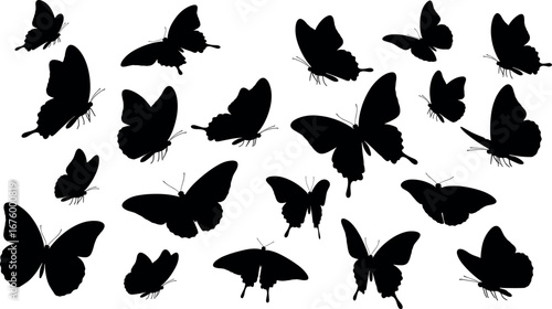 Diverse collection of black butterfly silhouettes in various poses against a clean white background