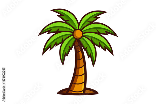 palm tree isolated on white