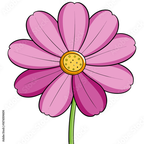 pink flower isolated on white background