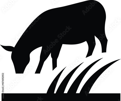 Silhouette of a cow grazing in a farm field with lush green grass