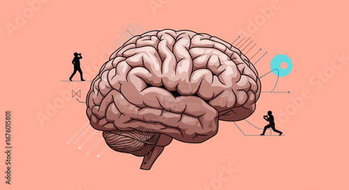Understanding the human brain and its complex cognitive functions and processes for mental wellness