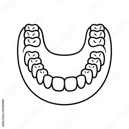 Simple outline illustration of a human upper jaw and teeth