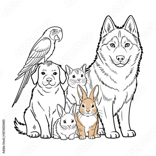 Collection of domestic animals and birds together in a line