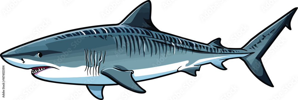 Naklejka premium Cute cartoon a illustrator vector tiger shark