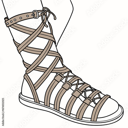 Illustration of a detailed gladiator sandal with straps and buckles on a leg