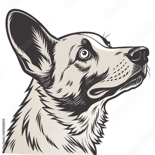 Stylized graphic illustration of a pembroke welsh corgi dog s head looking upwards with large ears and expressive eyes