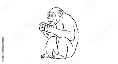 A simple black and white line drawing of a chimpanzee sitting down to eat.