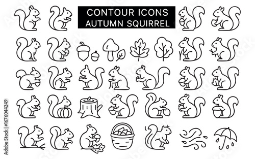 a set of outline icons dedicated to the theme of squirrels and autumn. All icons are made in black and white with thin lines.