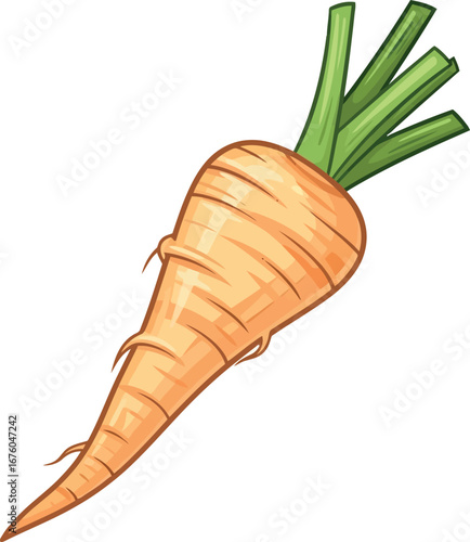 Fresh parsnip root vegetable isolated healthy food ingredient organic produce vector