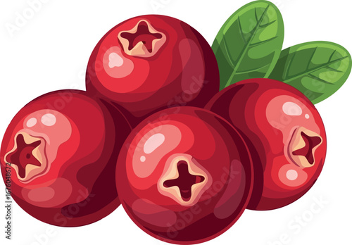 Vibrant red cranberries with fresh green leaves healthy organic fruit food ingredient vector