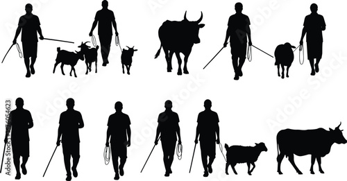 Rural silhouettes, animal herding, farming lifestyle, cow and goat walking, rope and stick tools, traditional agriculture, village labor, pastoral scene, field workers