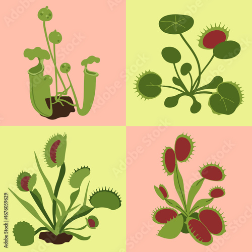 set illustration vector graphic of carnivorous plants flytrap and nepenthes