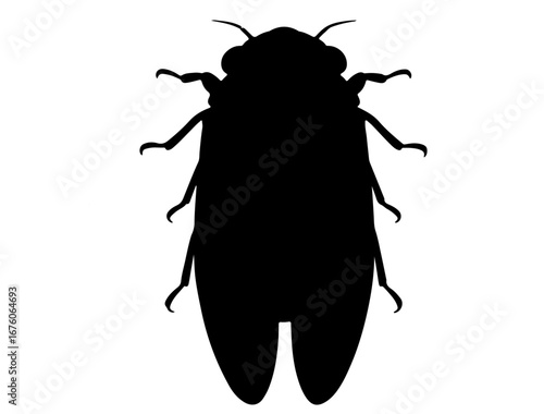 insect in silhouette on white background