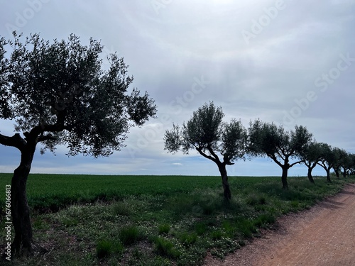 We relaxed in the countryside