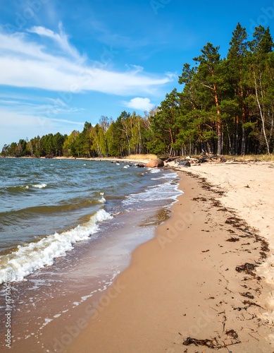 Wallpaper Mural Lakeside beach scene under a bright sky Torontodigital.ca