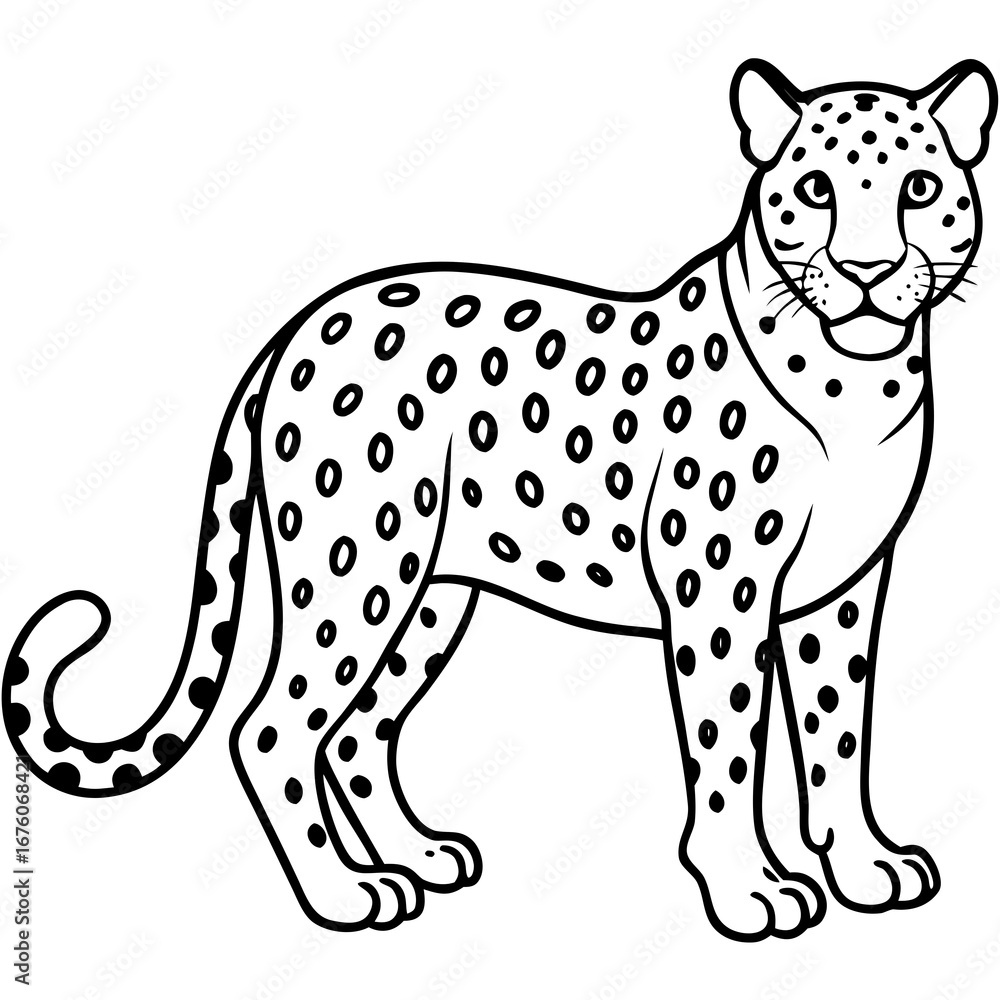 Fototapeta premium Leopard vector illustration 