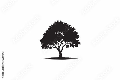 A Lime tree vector silhouettes black image with white color back round made by adobe illustrator .eps