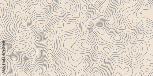 colorful wave paper curved reliefs abstract background, Abstract topographic contourscurved background, Topography map background. Vector geographic contour map. 