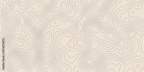 colorful wave paper curved reliefs abstract background, Abstract topographic contourscurved background, Topography map background. Vector geographic contour map. 