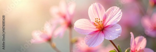 Close-up of delicate pink and white flowers, gently swaying in a soft breeze, creating a feeling of airy, floral breath  Perfect for spa, beauty, or aromatherapy concepts ,  peaceful,  serenity