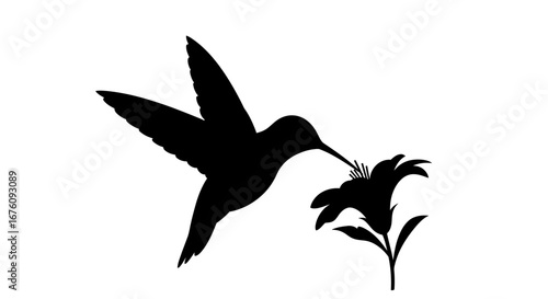 Silhouette of a Hummingbird Feeding on a Flower.