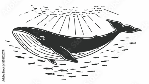 vector of a whale
