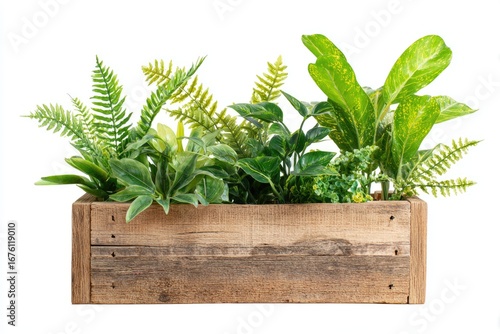 Rustic wooden planter box filled with lush greenery