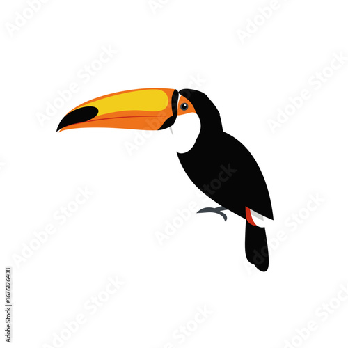 Stylized illustration of a tropical toucan bird with a large orange and yellow beak