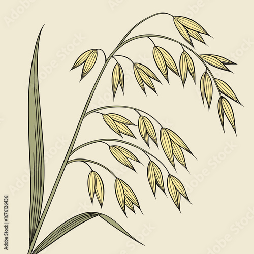Green and tropical vector illustration of a bamboo tree with leaves and branches