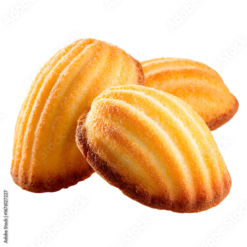 Delicious madeleine cookies displaying intricate shell shapes on a black background