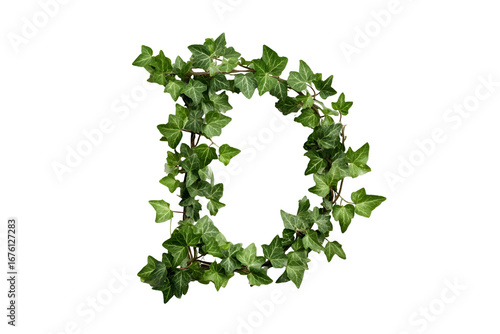 Wallpaper Mural Letter D made of green ivy leaves on black background Torontodigital.ca
