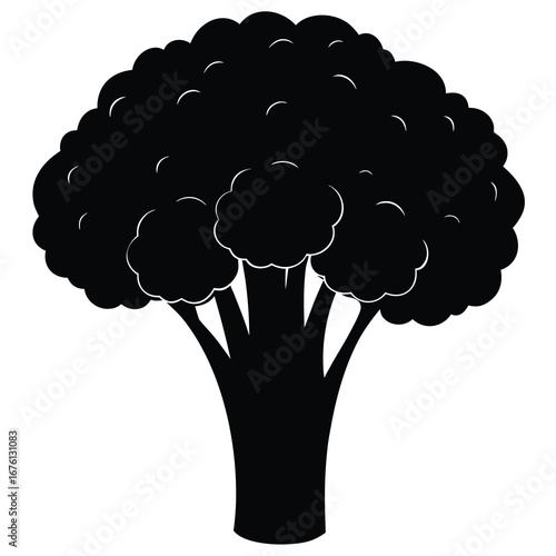 Solid Black Silhouette of a Broccoli Florets and Stem on a White Background vegetable food