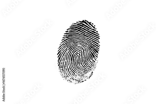 Vector black fingerprint background. Detailed fingerprint on grunge background symbolizing identity verification.