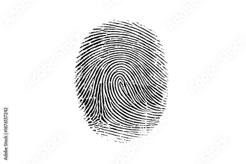 Vector black fingerprint on white Transparent background.