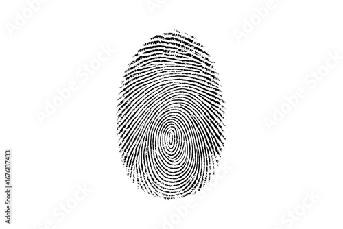 Vector black fingerprint background. Detailed fingerprint on grunge background symbolizing identity verification.
