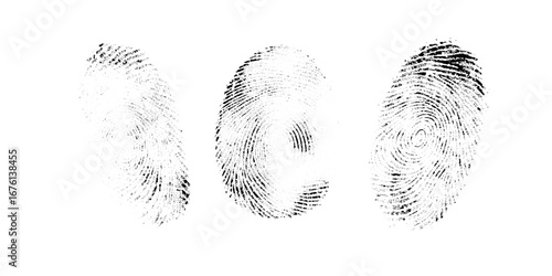 Vector black fingerprint background. Detailed fingerprint on grunge background symbolizing identity verification.