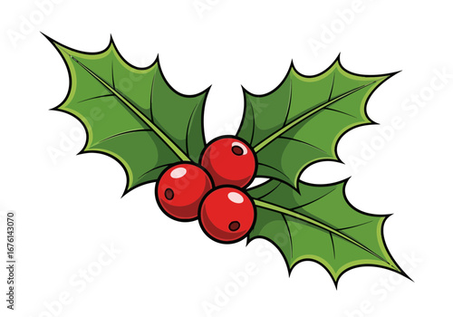 Vector art of christmas holly branch with red berries and green leaves