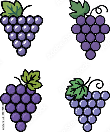 Minimal Grapes Icon Set – Flat Vector Fruit Illustrations