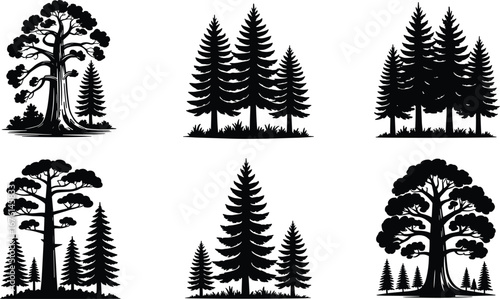 Silhouette pine trees and forest landscape with sequoia illustrations, nature tree collection for logo, emblem, or outdoor design inspiration.