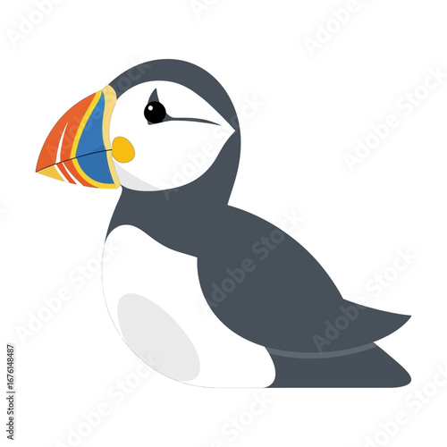 Cartoon puffin bird with colorful beak on white background