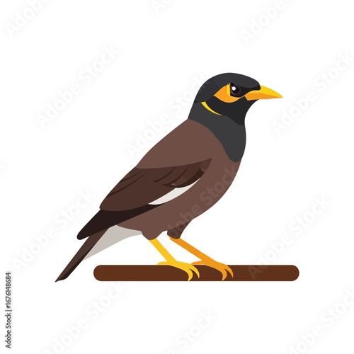 A brown bird with a yellow beak sits on a branch.