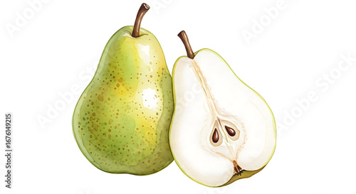 Watercolor Pear Illustration
