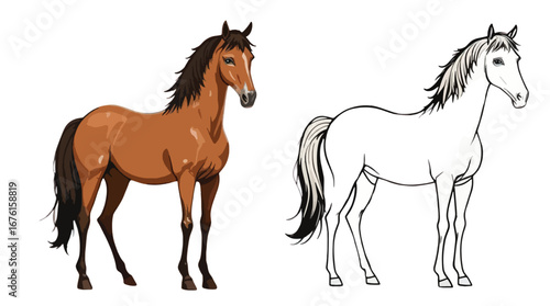 "Cartoon Brown Horse with White Horse Outline – Equestrian Animal Drawing Art for Farm, Ranch, and Creative Educational Projects"