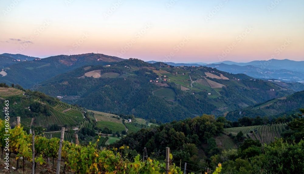 Naklejka premium Scenic View of Lush Green Rolling Hills and Vineyards at Dusk