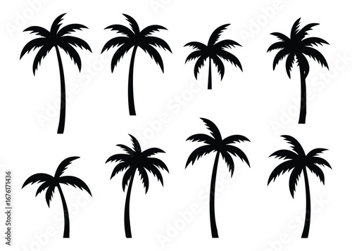 set of palm trees