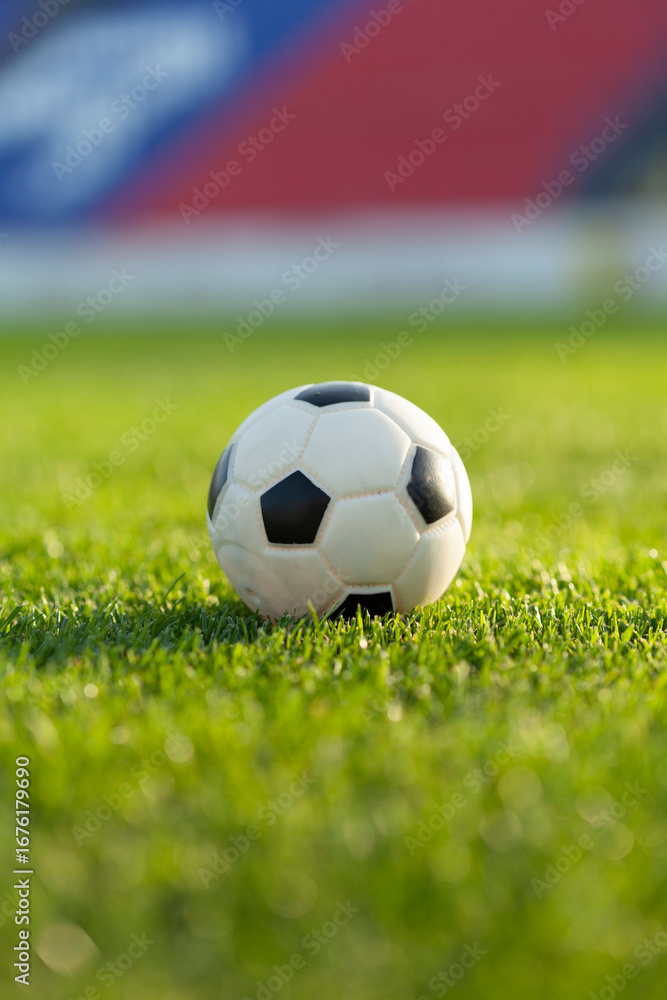 Fototapeta premium Soccer ball on field