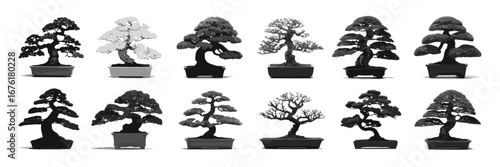 Grayscale bonsai tree collection vector illustration showcasing diverse pruning styles, pot shapes, foliage density, and traditional Japanese horticultural aesthetics