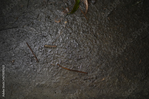 natural soil texture ,wet land texture