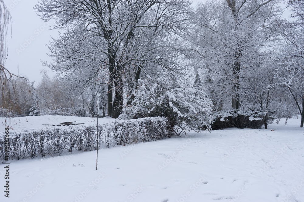 Obraz premium Winter Wonderland Scene with Fresh Snow Covering the Ground